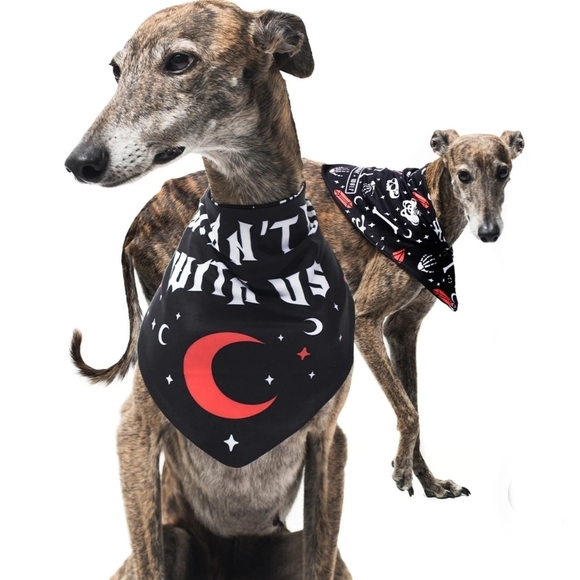 Rogue + Wolf ✦ “You Can’t Dig With Us” Reversible Pet Bandana ✦ Bones + Crystals - Picture 9 of 16